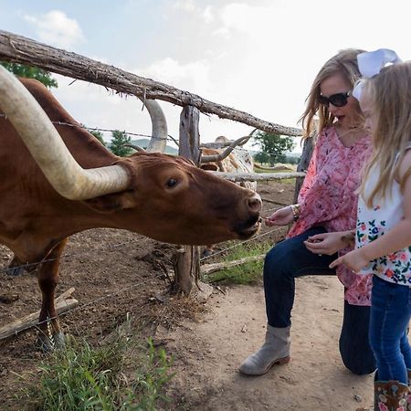 Wildcatter Ranch And Resort Graham Εξωτερικό φωτογραφία