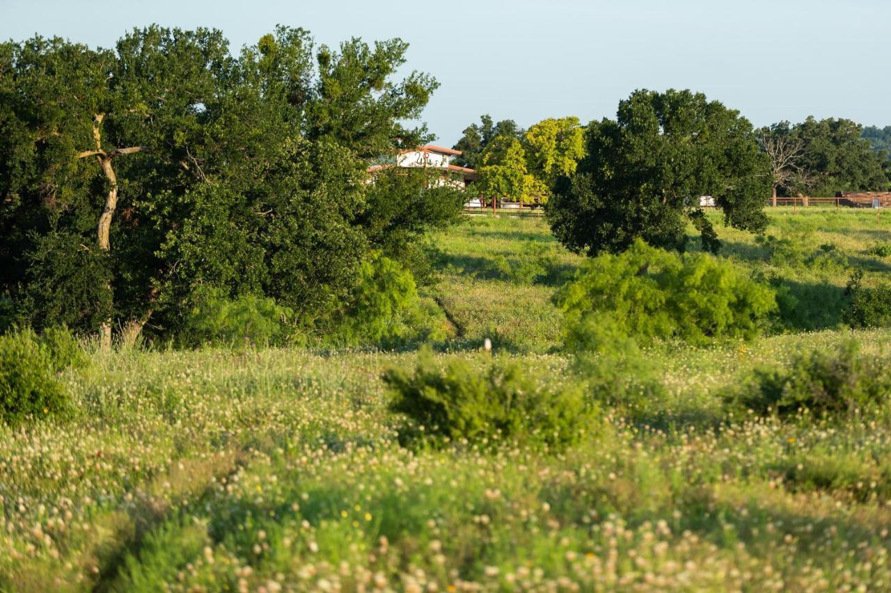 Wildcatter Ranch And Resort Graham Εξωτερικό φωτογραφία